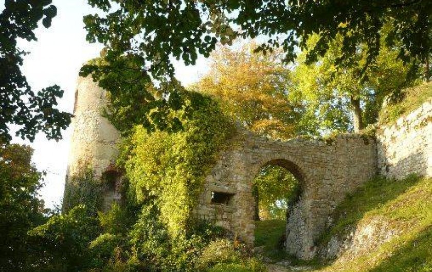 Location de vacances - Gîte à Ferrette - promenade et accès direct au château de Ferrette