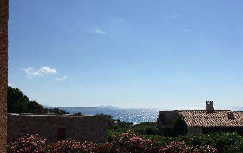 Location de vacances - Villa à Corbara