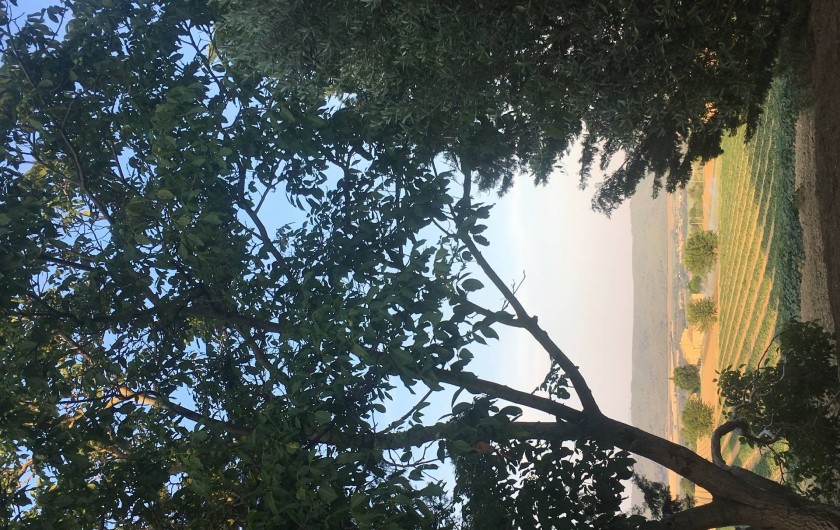 Location de vacances - Gîte à Lurs - Vue de la terrasse du gite "côté mas"