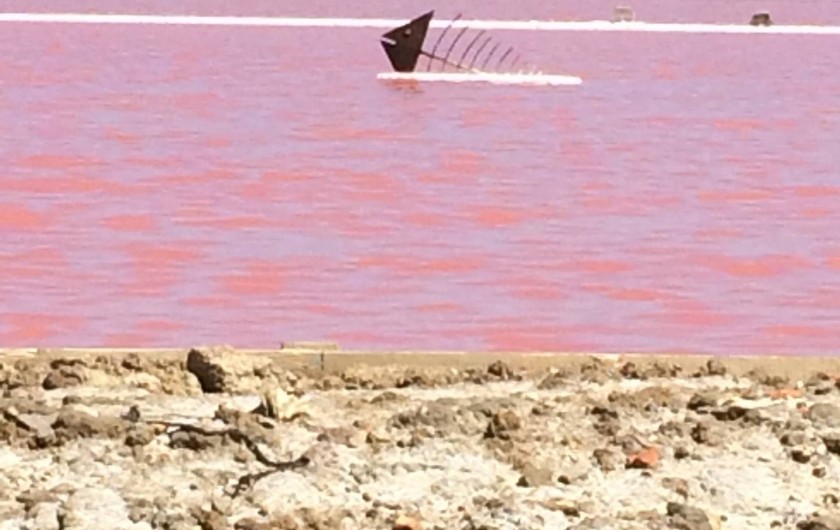 Location de vacances - Appartement à Lagrasse - Les Salins a Gruissan