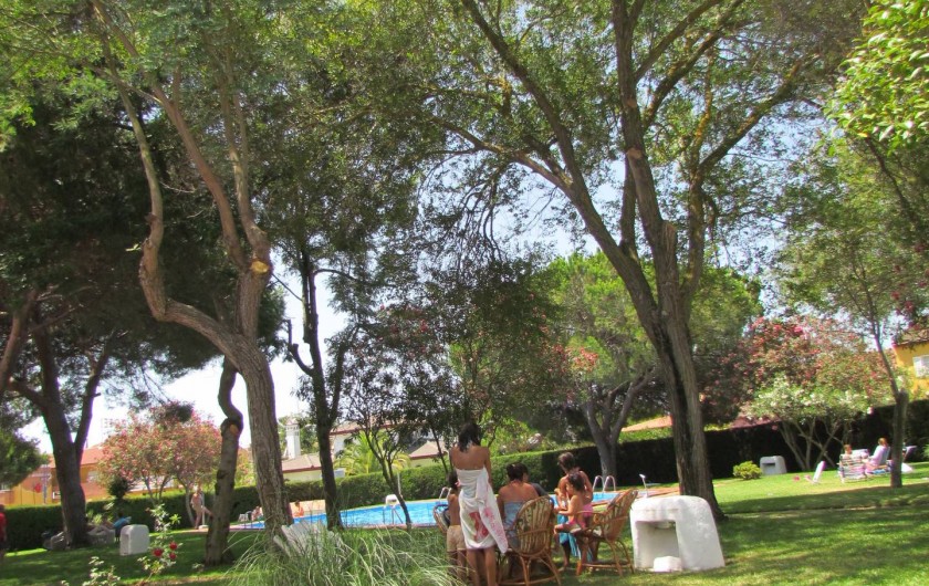 Location de vacances - Villa à Matalascañas - Beau parc arboré avec piscine fermé de l'extérieur.