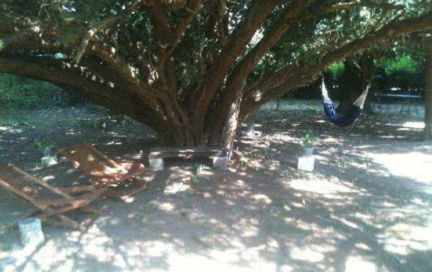 Location de vacances - Maison - Villa à Cubjac