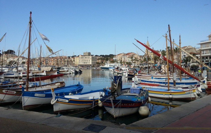 Location de vacances - Studio à Six-Fours-les-Plages
