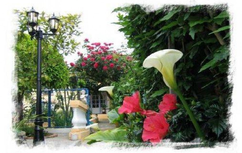 Location de vacances - Villa à Antibes