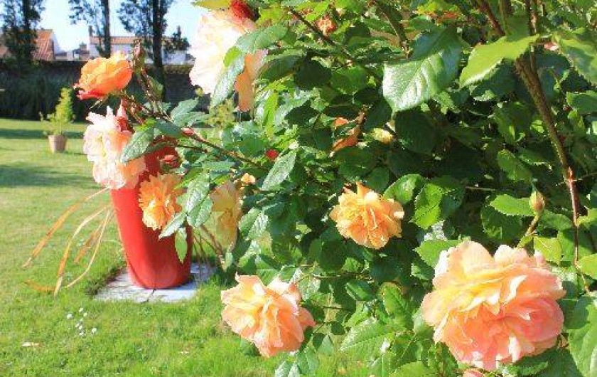 Location de vacances - Appartement à La Tranche-sur-Mer