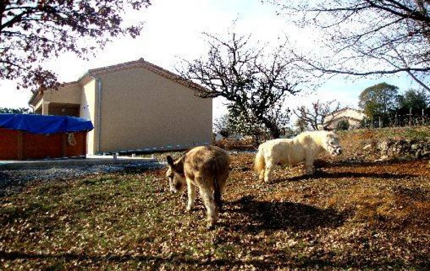 Location de vacances - Villa à Largentière