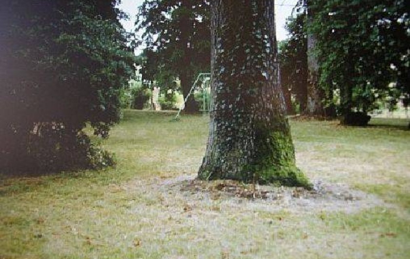 Location de vacances - Maison - Villa à Monclar