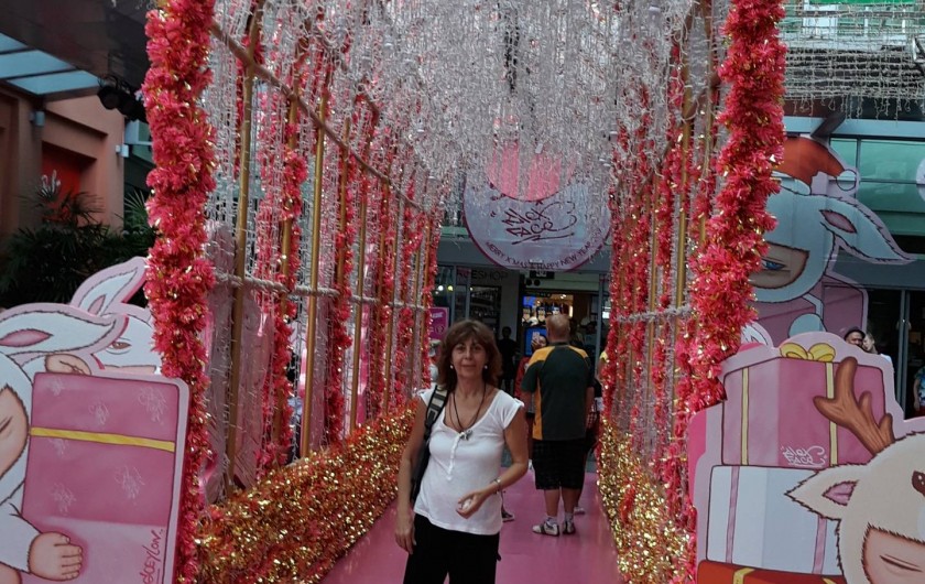 Location de vacances - Villa à Sesmarias - Le propriétaire