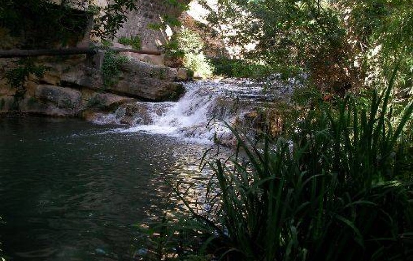 Location de vacances - Chambre d'hôtes à Jouques