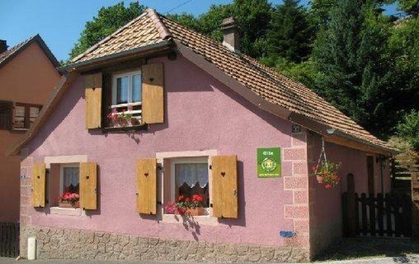 Location de vacances - Gîte à Bernardvillé