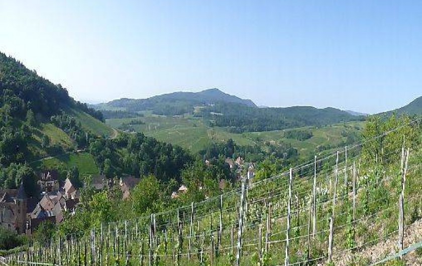 Location de vacances - Gîte à Bernardvillé
