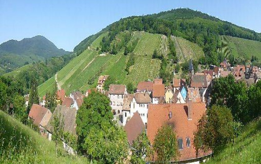 Location de vacances - Gîte à Bernardvillé
