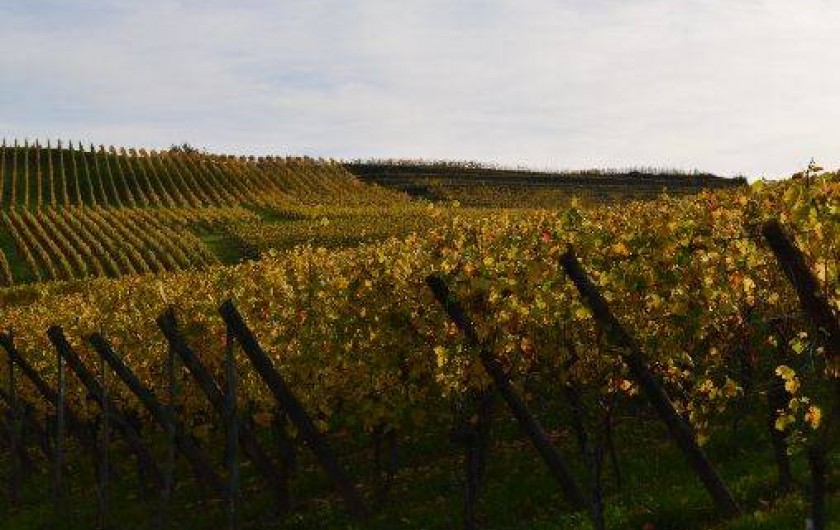 Location de vacances - Gîte à Bernardvillé