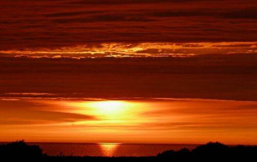 Location de vacances - Gîte à Saint-Martin-aux-Buneaux - Vue Soleil couchant