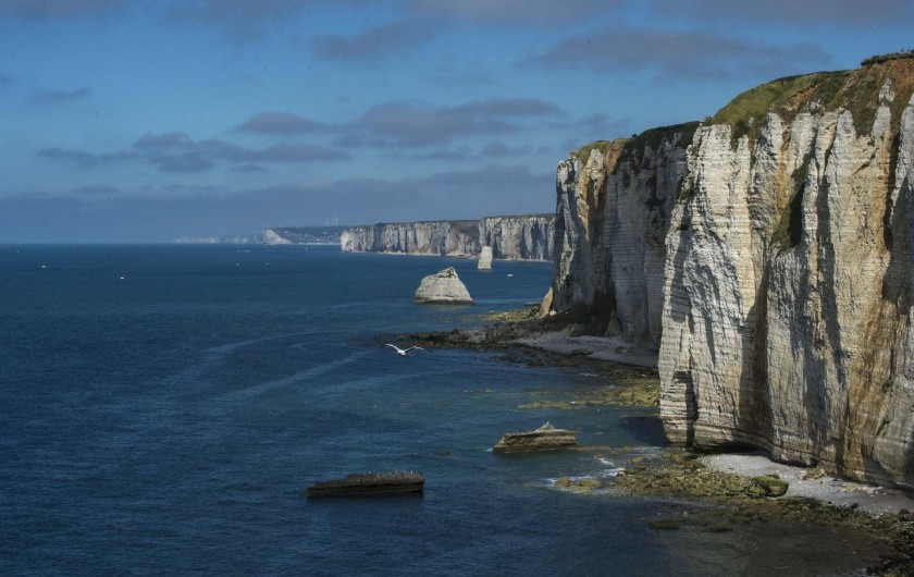 Location de vacances - Gîte à Saint-Martin-aux-Buneaux - Falaises de la Côte d'Albâtre