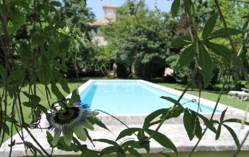 Location de vacances - Chambre d'hôtes à Carpentras