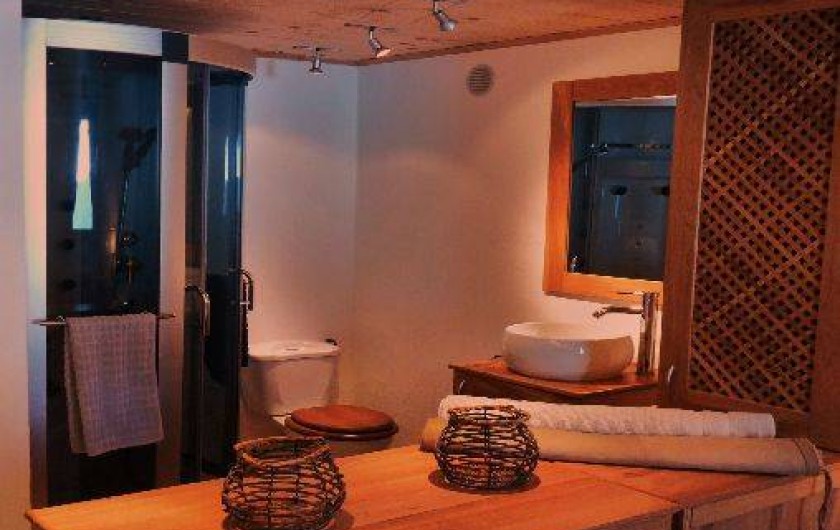 Location de vacances - Chalet à Praz-sur-Arly