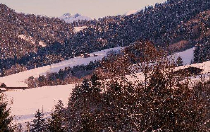 Location de vacances - Chalet à Praz-sur-Arly