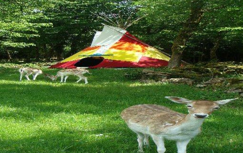 Location de vacances - Gîte à Pratz