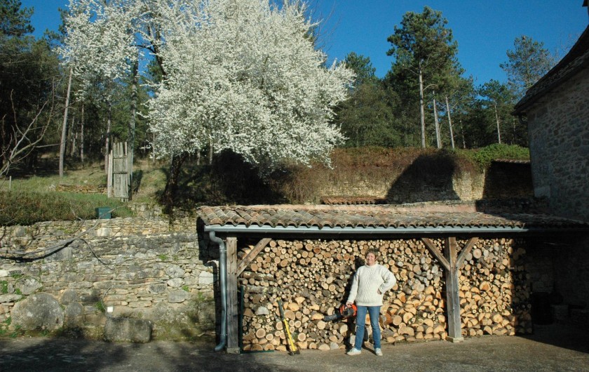 Une bonne provision de bois pour la cheminée