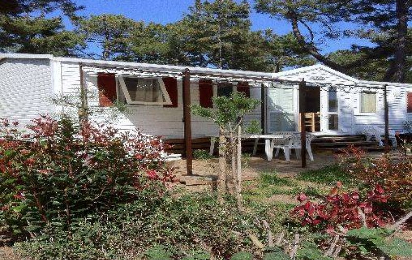 Location de vacances - Bungalow - Mobilhome à Les Mathes
