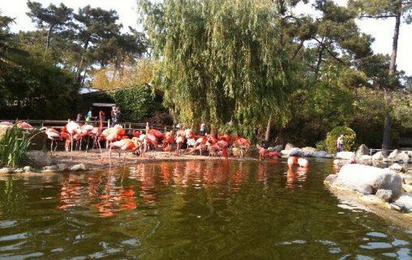 Location de vacances - Bungalow - Mobilhome à Les Mathes