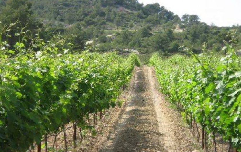 Location de vacances - Gîte à Ventabren