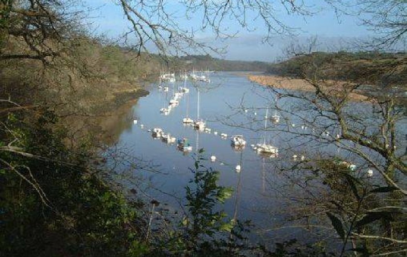 Location de vacances - Gîte à Clohars-Carnoët - Randonnée pédestre au bord de la rivière LAITA