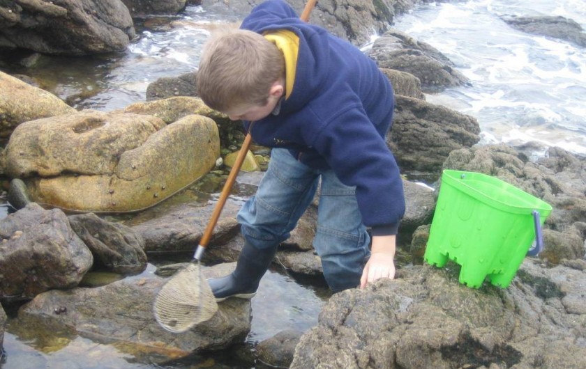 Location de vacances - Gîte à Clohars-Carnoët - Activité : pèche à pieds