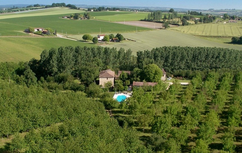 Location de vacances - Gîte à Nérac - La propriété et ses plantations d'arbres vues du ciel ©Pehillo