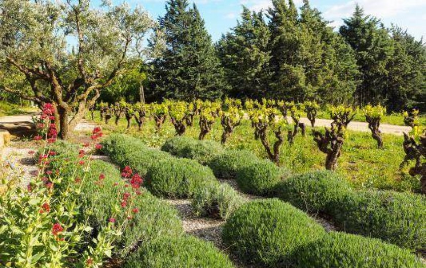 Location de vacances - Gîte à Le Bosc