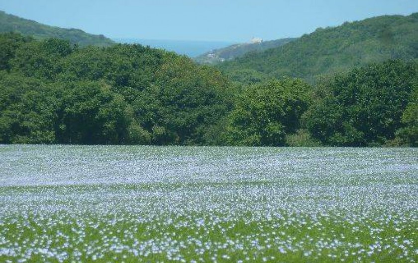 Location de vacances - Maison - Villa à Étretat