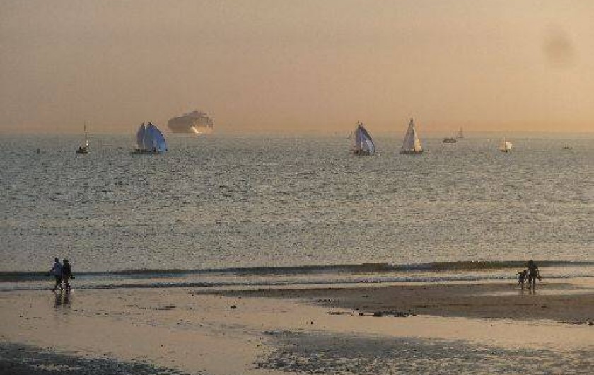 Location de vacances - Maison - Villa à Étretat