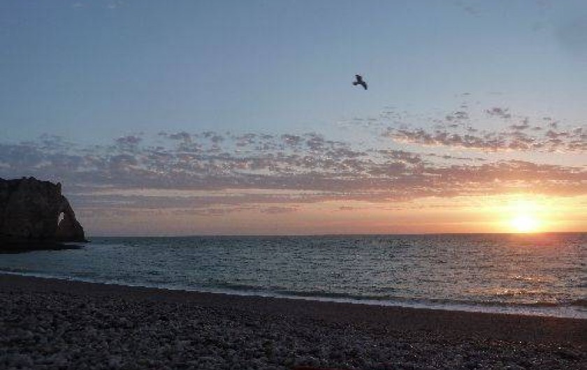 Location de vacances - Maison - Villa à Étretat