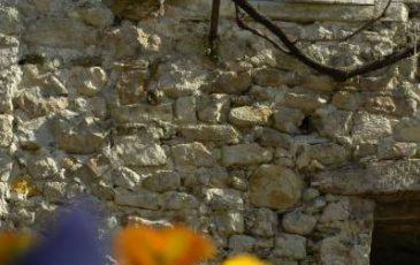 Location de vacances - Chambre d'hôtes à Cros