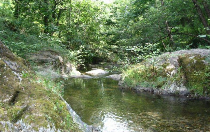 Location de vacances - Chambre d'hôtes à Cros