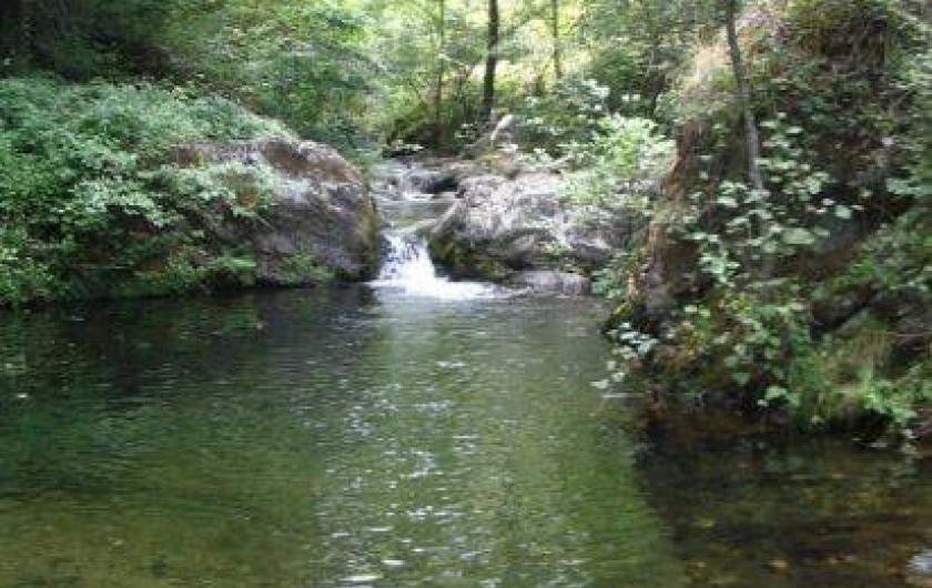 Location de vacances - Chambre d'hôtes à Cros