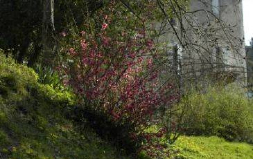 Location de vacances - Chambre d'hôtes à Cros
