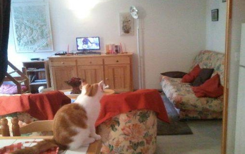 Location de vacances - Studio à Aulus-les-Bains