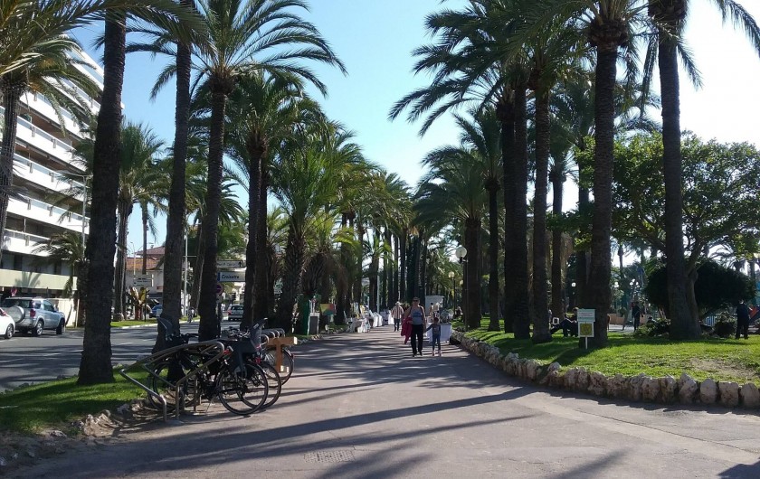 Location de vacances - Appartement à Cannes