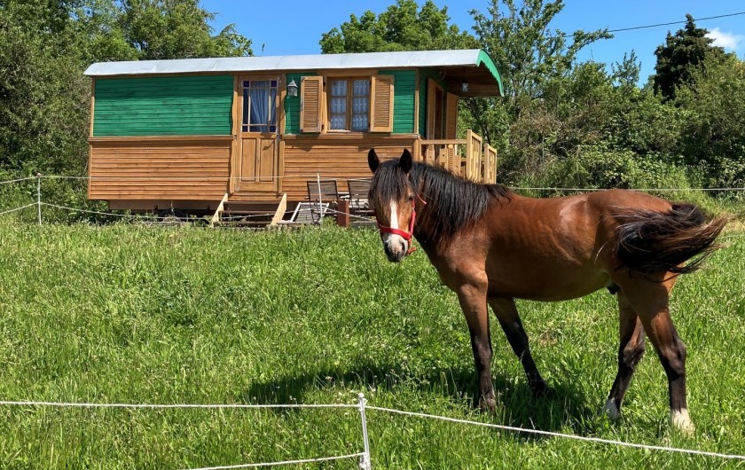 Location de vacances - Chalet à Saissac - Igloo face à la roulotte