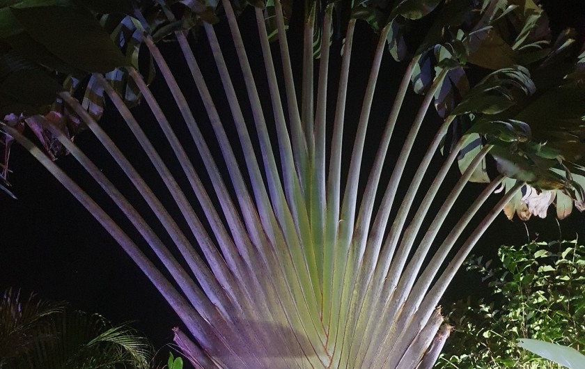 Location de vacances - Villa à Le Gosier