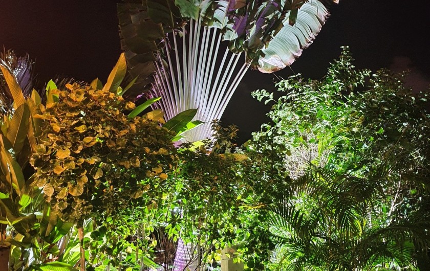 Location de vacances - Villa à Le Gosier