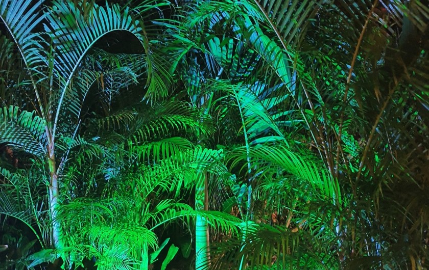 Location de vacances - Villa à Le Gosier