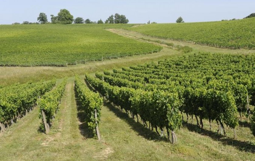 Location de vacances - Château - Manoir à Beychac-et-Caillau