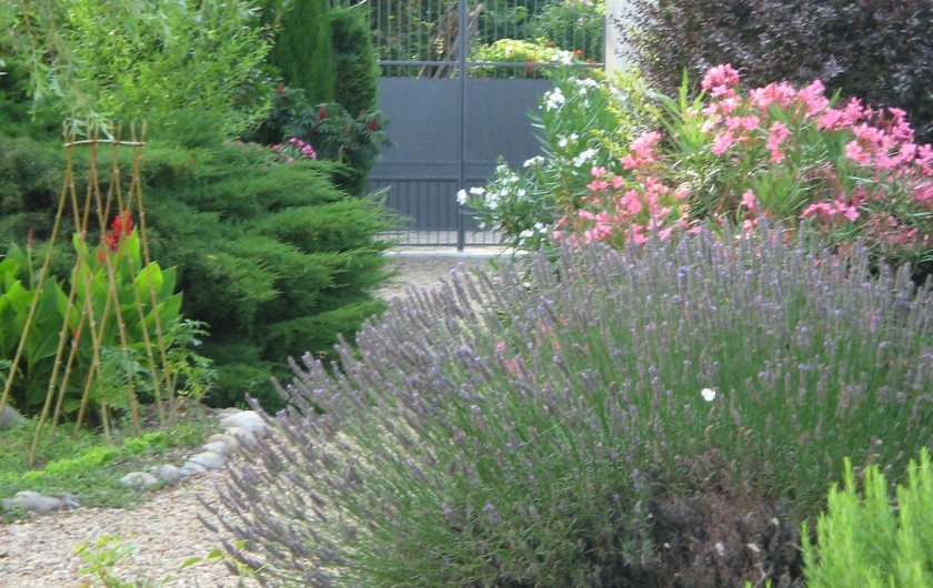 Location de vacances - Mas à Avignon