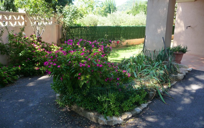 Location de vacances - Studio à Vidauban