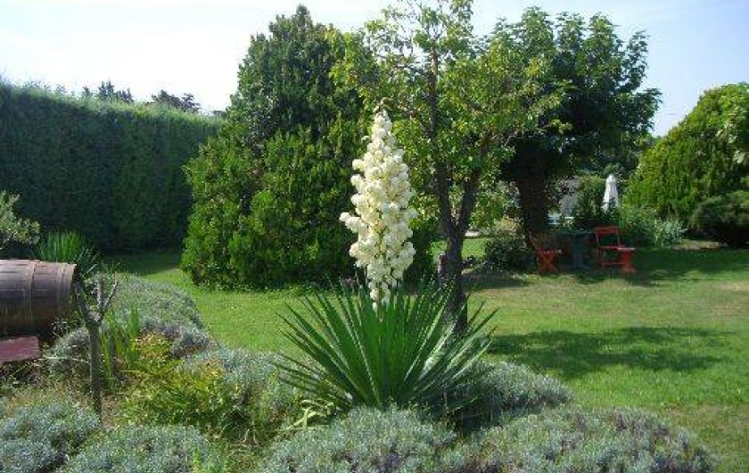 Location de vacances - Gîte à Velleron