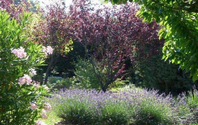 Location de vacances - Gîte à Velleron