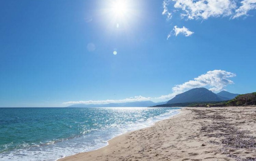 Location de vacances - Appartement à Orosei